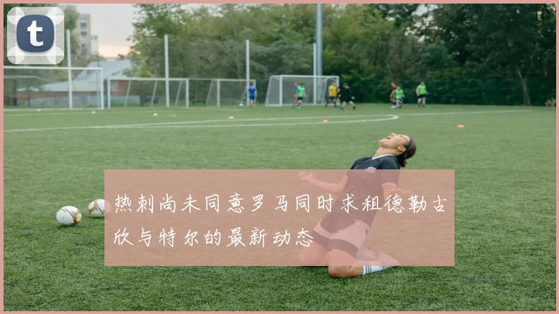 热刺尚未同意罗马同时求租德勒古欣与特尔的最新动态